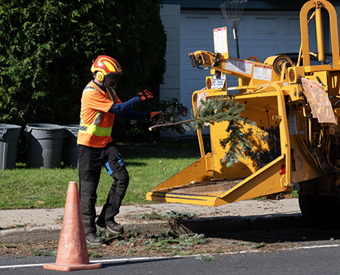 Service déchiquetage