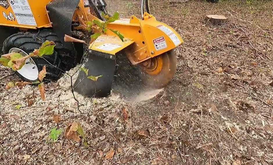 Service Essouchement 2